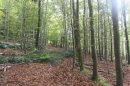 Montée au Hahnenberg